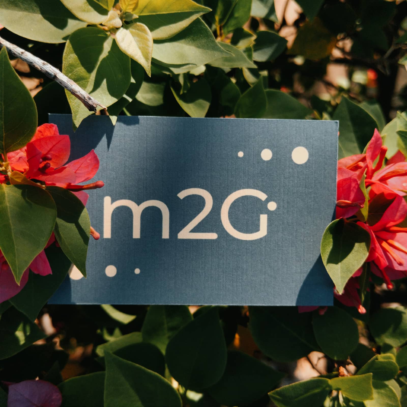 M2G Photos